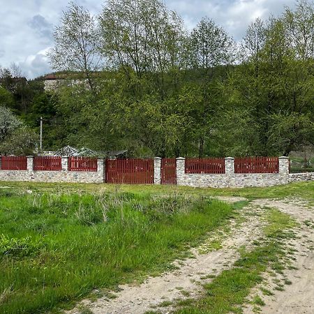 La Gradina Hotel Mehádia Kültér fotó