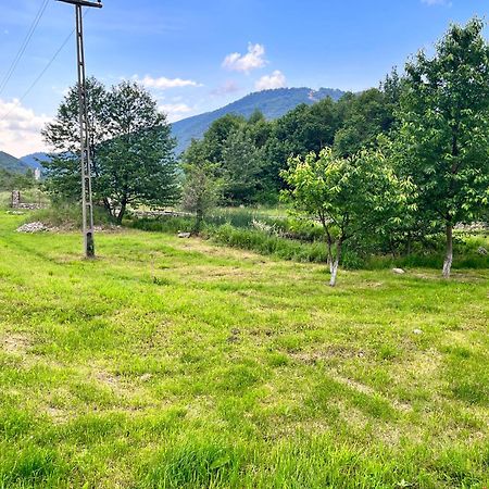 La Gradina Hotel Mehádia Kültér fotó