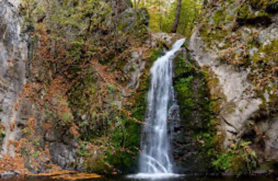 La Gradina Hotel Mehádia Kültér fotó