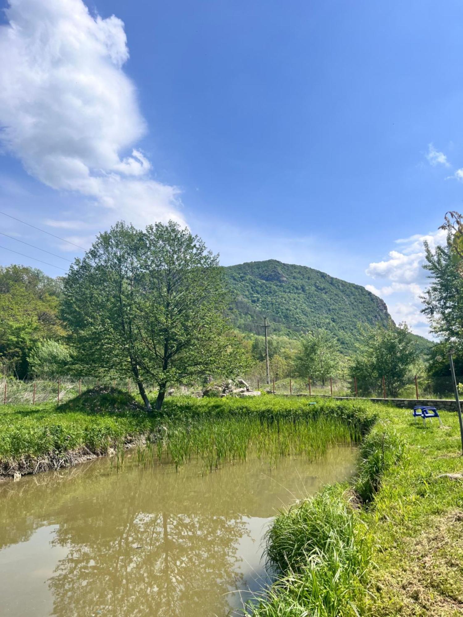La Gradina Hotel Mehádia Kültér fotó