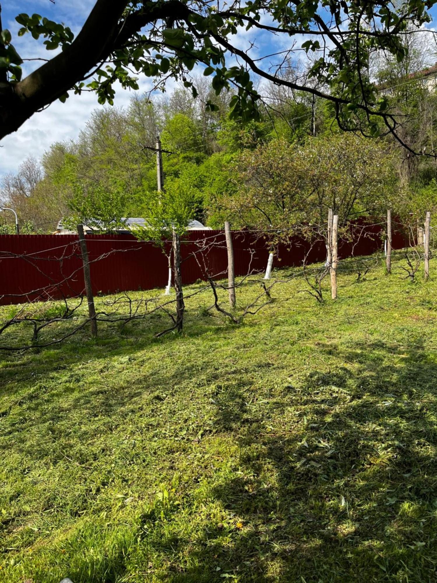 La Gradina Hotel Mehádia Kültér fotó