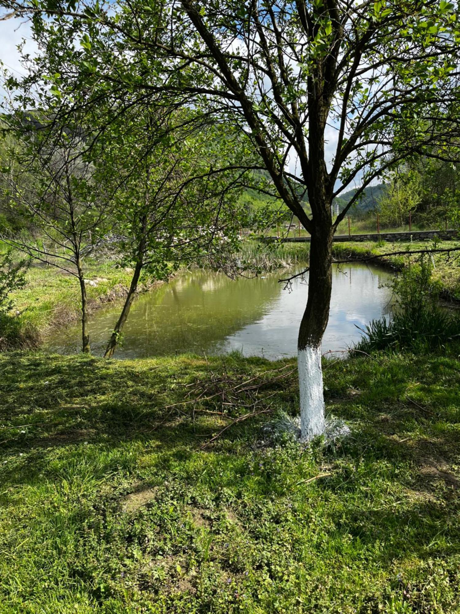 La Gradina Hotel Mehádia Kültér fotó